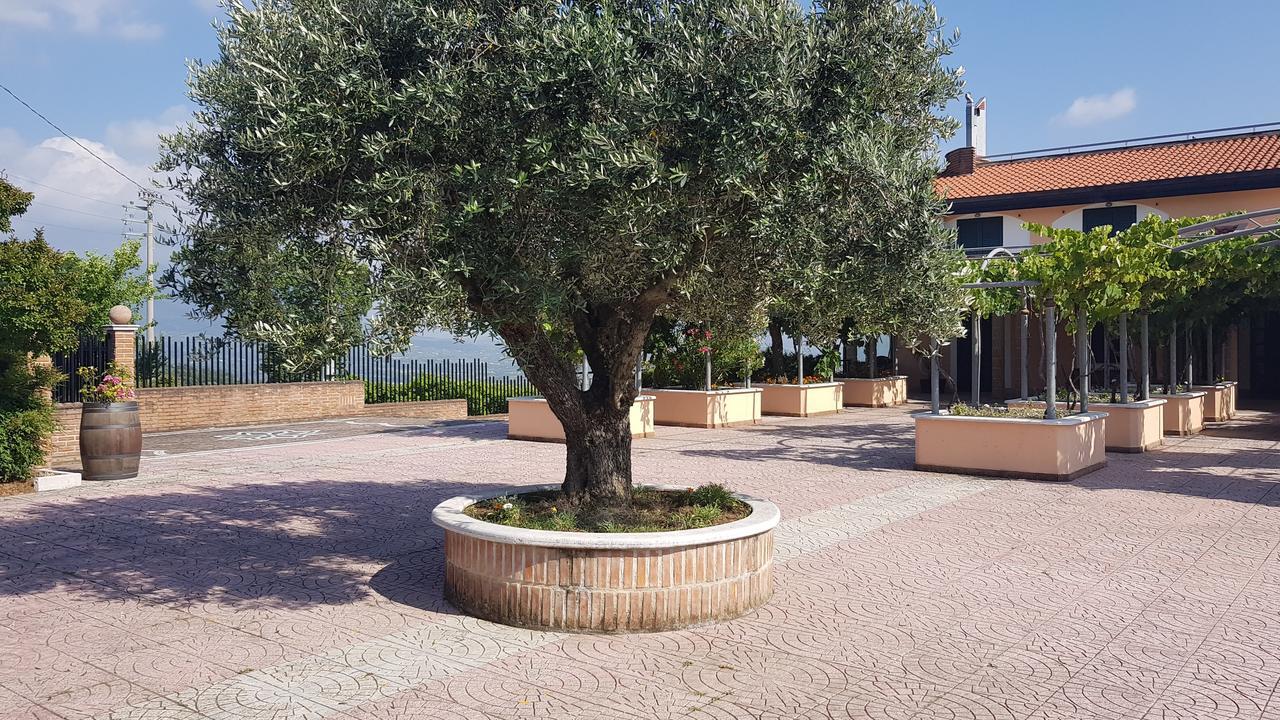 Lisandro Wine Resort Apartments Caserta Castel Campagnano Exterior foto