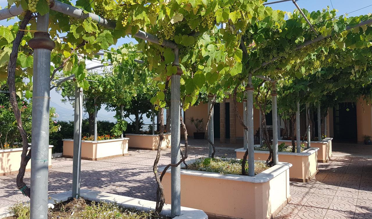 Lisandro Wine Resort Apartments Caserta Castel Campagnano Exterior foto